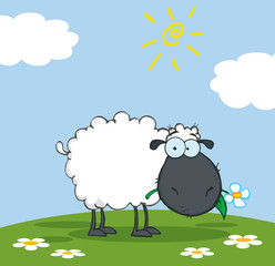 Fototapeta premium Black Sheep Cartoon Character Eating A Flower On A Meadow