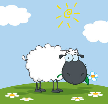 Black Sheep Cartoon Character Eating A Flower On A Meadow