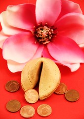 Magnolie und Glückskeks