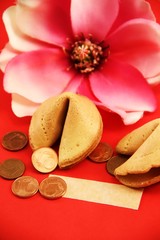 Chinakeks und Glückscents