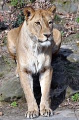 Ausschau halten ist wichtig