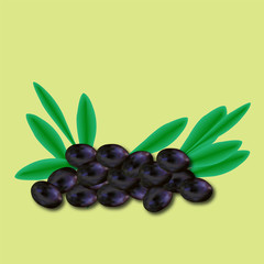 Few olives with leaves