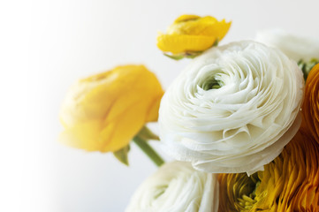 beauty bouquet of flowers