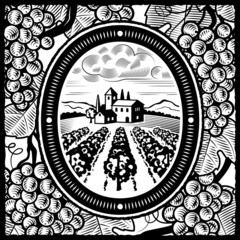 Vineyard black and white
