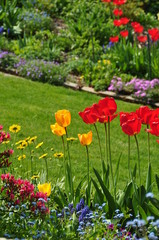 Fototapeta premium Frühlingsgarten im April