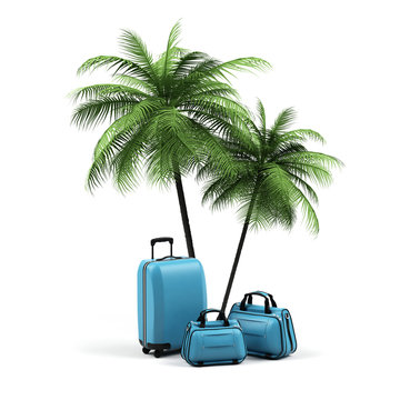 Luggage and palms on a white background.