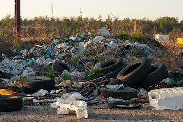 Illegal waste dump