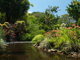 Ruisseau dans le jardin botanique, Guadeloupe