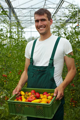 Bauer mit Tomatenkiste