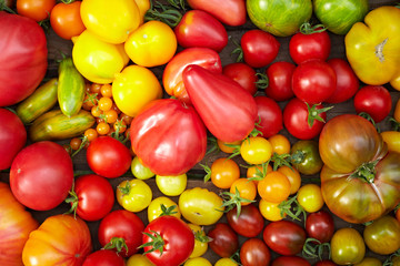 Unterschiedliche Tomatensorten