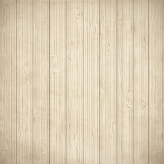 Fototapeta premium Wood texture, vector