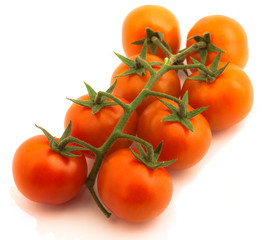 Tomatoes group