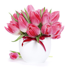 Pink tulips
