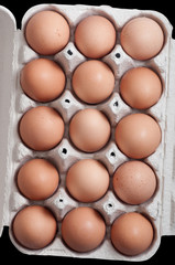 Eggs in a protective container