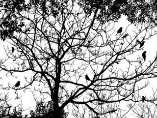 tree and bird