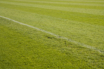 Cut grass on a soccer field
