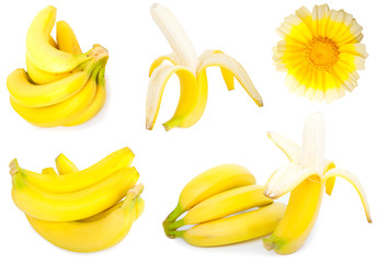 set of banana on a white background