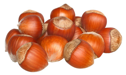 Hazelnuts.