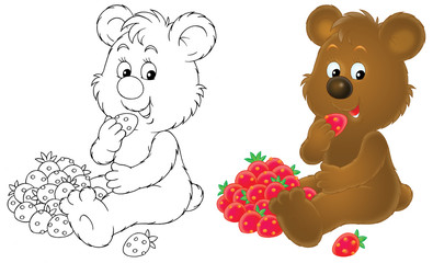 Bear cub with berries