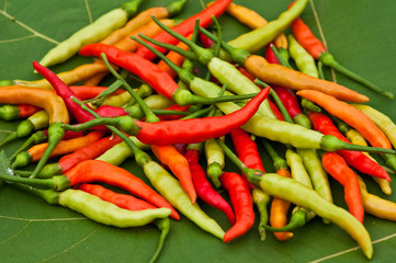 Red hot chilis