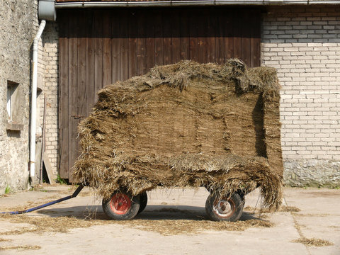 Mistkarre