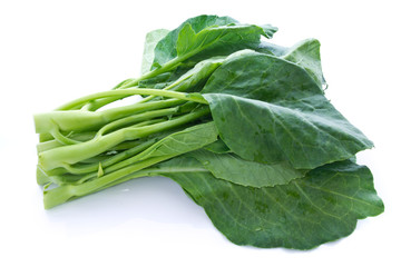 Chinese kale vegetable