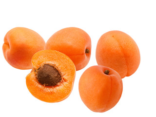 apricot isolated on white background