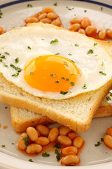 Fototapeta premium Parsley On Egg
