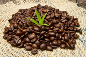 coffee beans