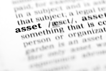 asset (the dictionary project)