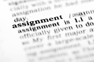 assignment (the dictionary project)