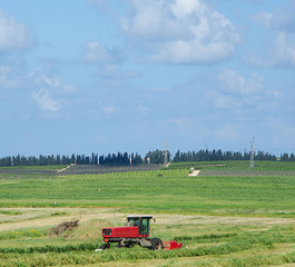 Fototapeta premium harvest
