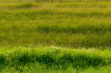 paesaggio campi 1703