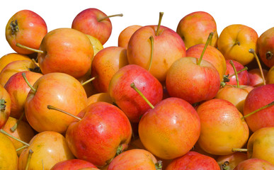 Apples 31