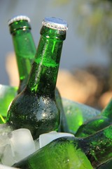 sixpack im zinkeimer IV