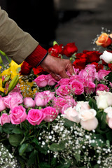 Mano che raccoglie una rosa