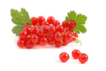 Johannisbeeren