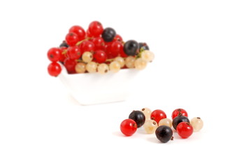Johannisbeeren