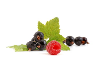johannisbeeren und himbeere