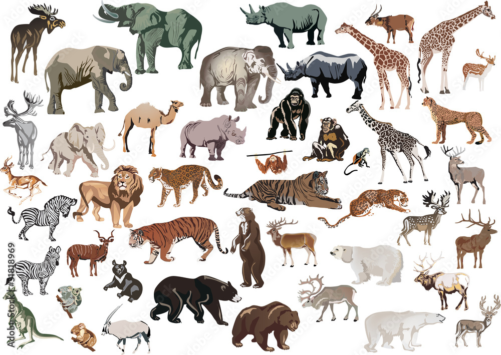 Sticker isolated color animals huge collection