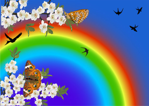 flowers and butterflies on rainbow background