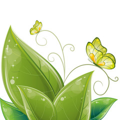 Green leaves design with butterfly