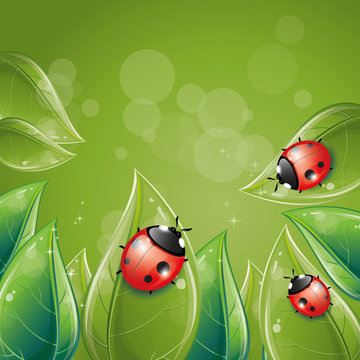 Green leaves design with ladybug