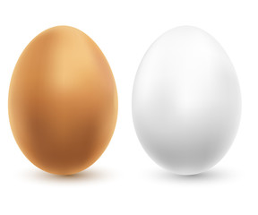 two chicken eggs