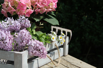 Blumen und Kräuter mit Platz für Text