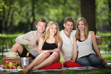 Freunde machen Picknick