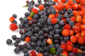 Wild strawberries and blueberries