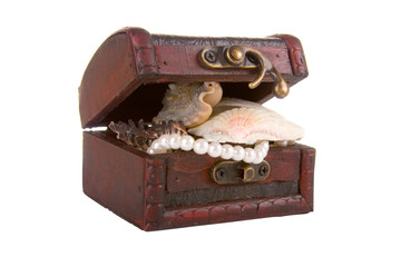 Brown chest with treasures