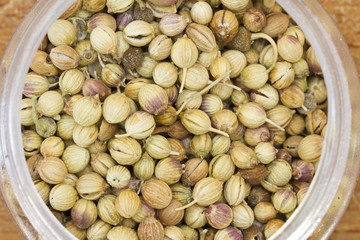 Dried coriander fruits