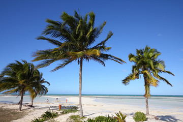 Fototapeta na wymiar Plaża w Cayo Guillermo - Kuba